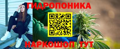 гидра Заводоуковск