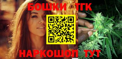 гидра Заводоуковск